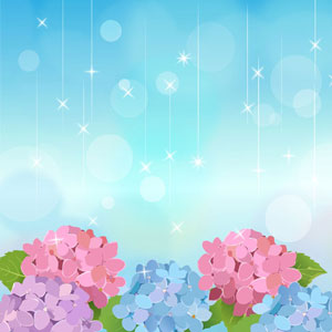 紫陽花と雨 イラスト