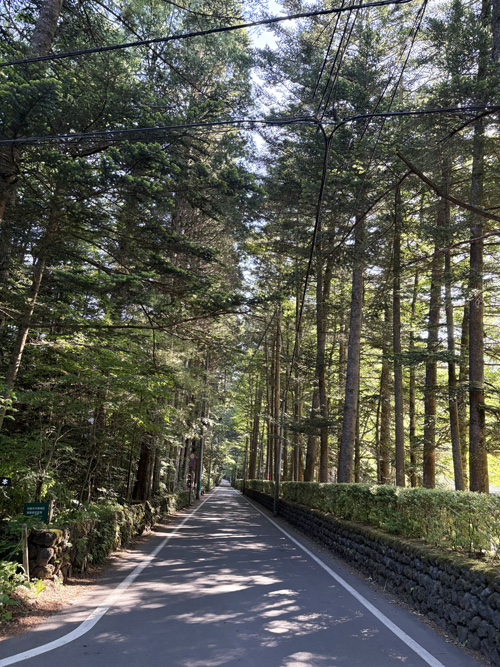軽井沢の並木通り